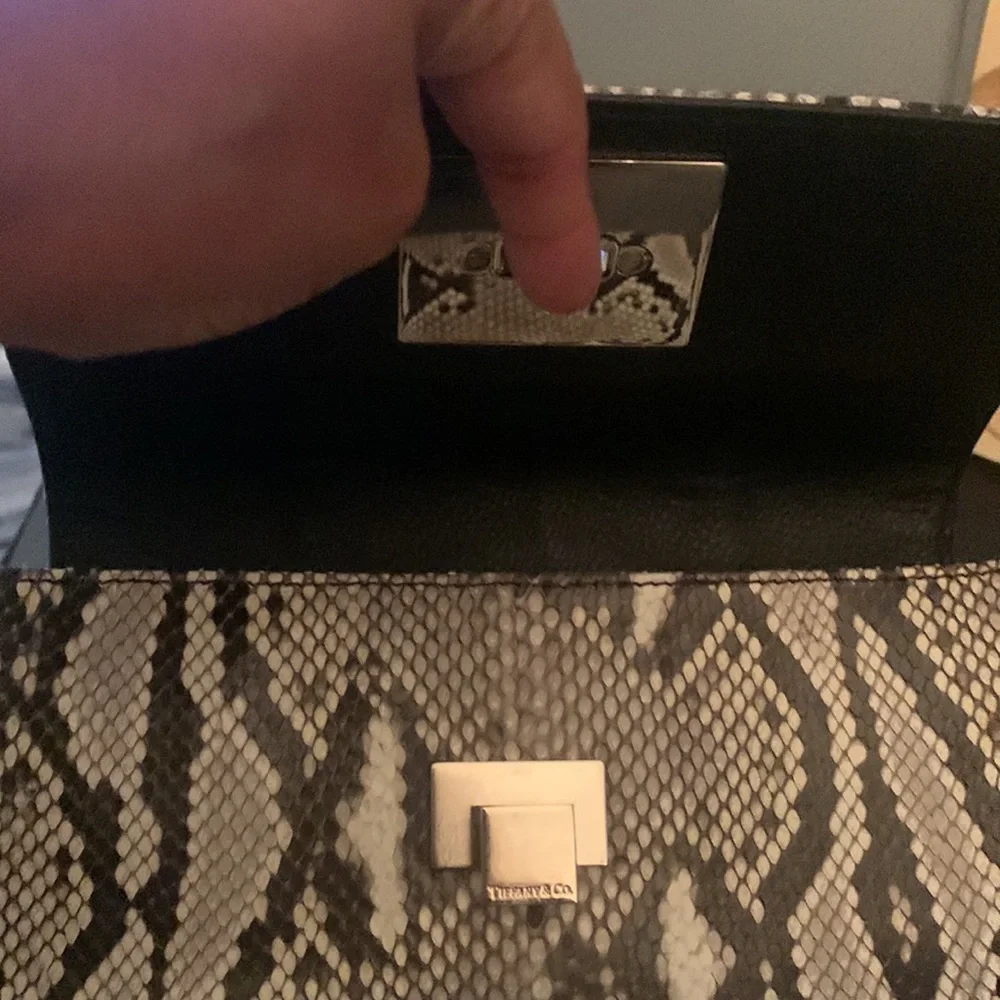 Tiffany & Co. Shoulder Bag
Neutrals Python Excellent Condition - Picture 2 of 5